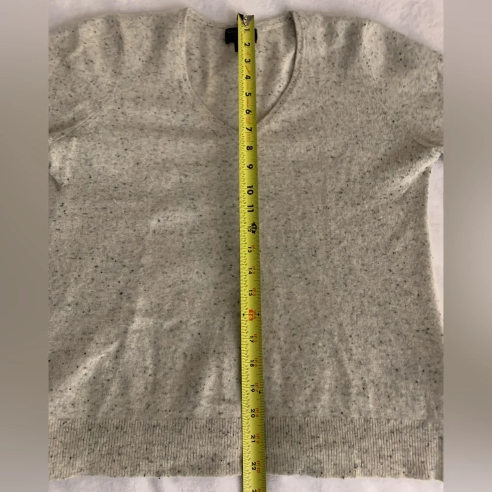 Charter Club Luxury 100% Cashmere V-Neck Sweater in Oatmeal Speckled Knit L
